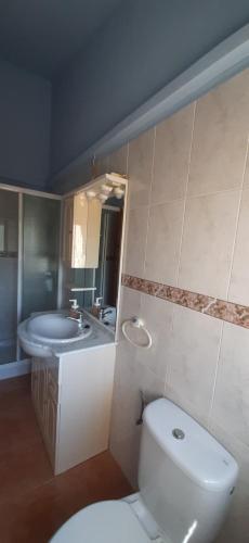 a bathroom with a toilet and a sink at Mas Solana in Huércal-Overa