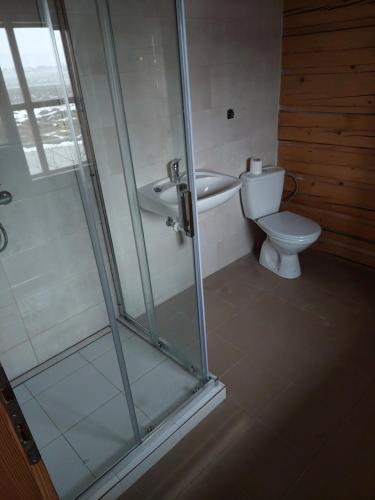 a bathroom with a shower and a toilet at Mountain View Cottage in Hrabušice