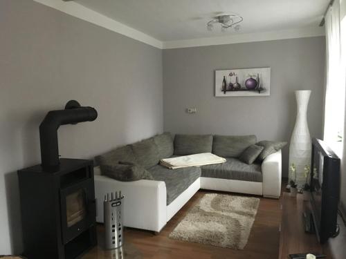 a living room with a couch and a fireplace at Ferienhaus Kirchturmblick bei Quedlinburg in Hoym