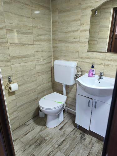a bathroom with a toilet and a sink at Casa Rodica in Dubova