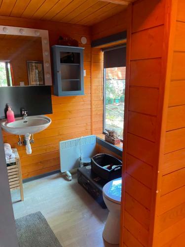 a bathroom with a toilet and a sink at Makkocska Vendégház in Noszvaj