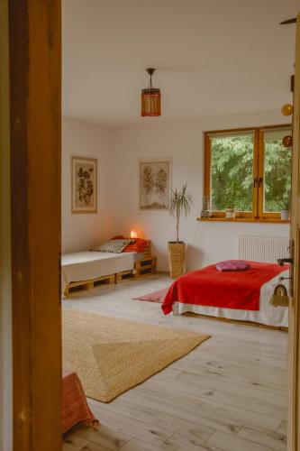 a bedroom with two beds and a window at DobroDziejnia in Nowa Ruda