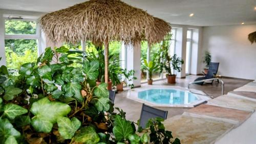 a house with a swimming pool and some plants at VATTERSGARDEN GmbH in Viechtach