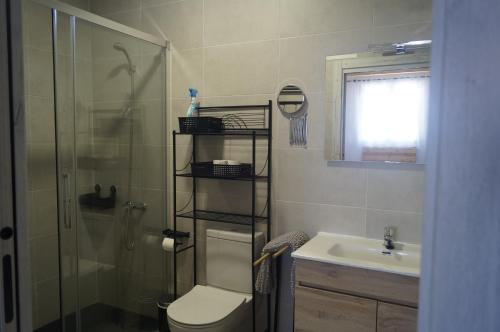 a bathroom with a shower and a toilet and a sink at Casa Rural El Capricho in Casas del Monte
