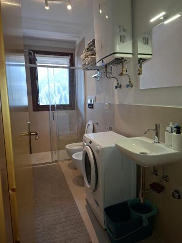 a bathroom with a washing machine and a sink at Dolomites View Apartment - Mountain Relax Experience in Cibiana