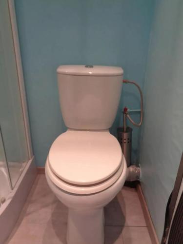 a white toilet in a bathroom with a shower at Apartment Philippeville 18 m² Garden in Philippeville