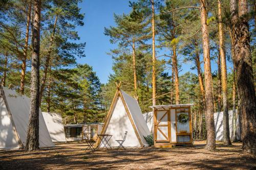 a couple of tents in a forest with trees at Kampaoh Picos de Urbión in Abejar