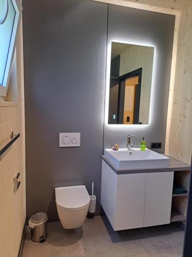 a bathroom with a white toilet and a mirror at Ferienhaus Brunner in Höchst