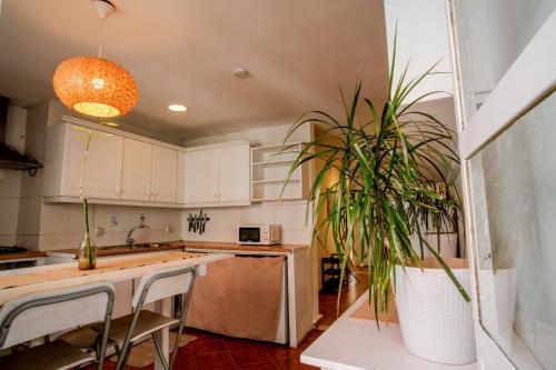 Cozy Private Apartment with Patio