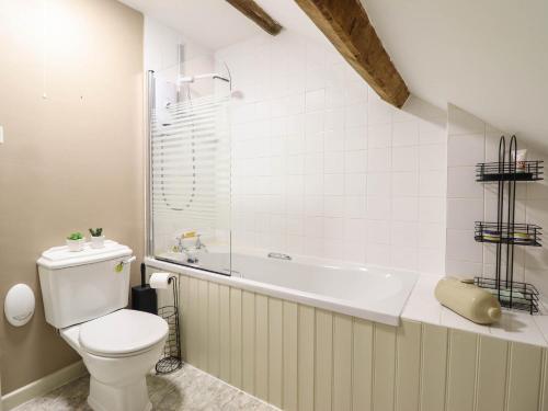 a bathroom with a toilet and a bath tub at Frondirion in Machynlleth