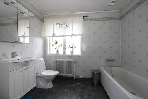 a bathroom with a sink and a tub and a toilet at Villa Oakfield in Fröseke
