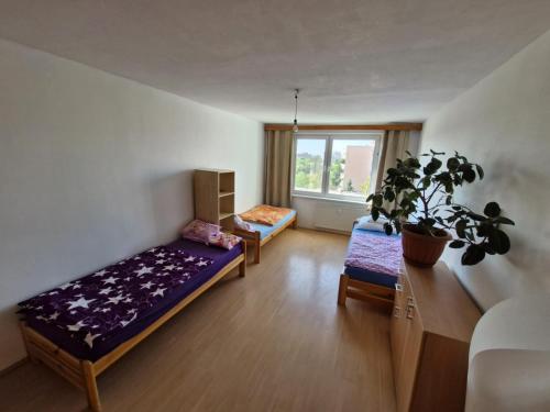 a room with a bed and a plant in it at LV Central Apartment in Levice