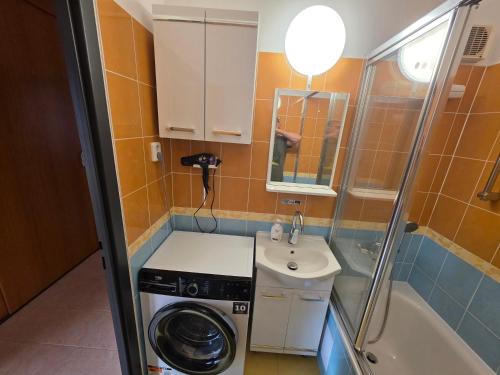 a small bathroom with a washing machine and a sink at U Lose in Liberec