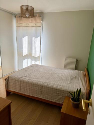 Le Chêne - Charming apartment with garden