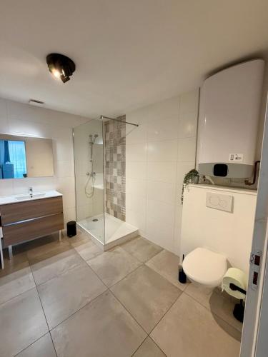 a bathroom with a shower and a toilet and a sink at Le Marronnier - Studio confortable proche de Lyon in Charbonnières-les-Bains