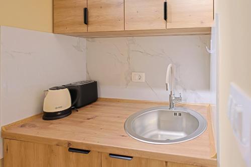 a kitchen counter with a sink and a toaster at FourMountains-Trebević in Sarajevo
