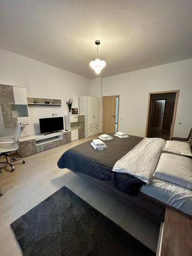 a large bedroom with a large bed and a tv at Vera Residence - Free Private Parking & Self Check-In in Timişoara