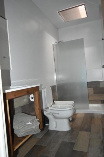 ein Badezimmer mit Toilette und einer Rolle Toilettenpapier in der Unterkunft Coty C in Saladillo