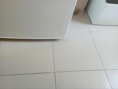 Magnifique appartement Dennis
