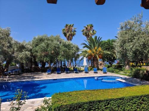 a swimming pool with chairs and palm trees at Razi Beach in Lefokastro