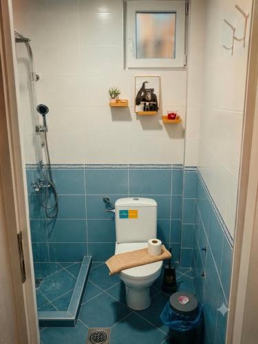 a bathroom with a toilet and a shower at Villa Stefan Ohrid in Ohrid