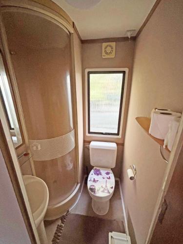 a small bathroom with a toilet and a shower at Retro Mobilhome in Igal