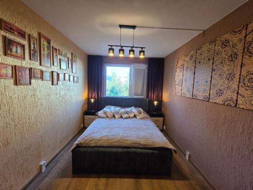 a bedroom with a bed in a room with a window at U Lose in Liberec