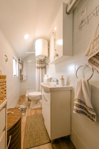 a white bathroom with a toilet and a sink at Kuca za odmor Lipa in Sinac