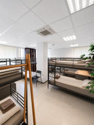 a large room with several bunk beds in it at Hobeda 6 Guest House in Tallinn