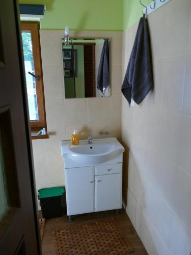 a bathroom with a white sink and a mirror at Plantacja Wierzby Agroturystyka in Haczów