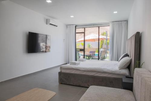 a bedroom with a bed and a television and a window at שאנל דירת גן עם בריכה in Eilat