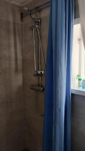 a shower with a blue shower curtain in a bathroom at Waldhaus mit Seeblick in Nyhammar