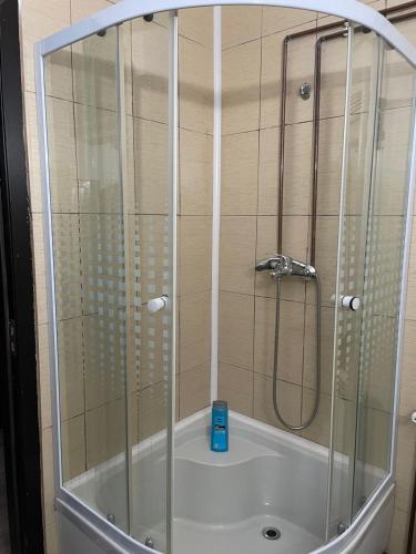 a shower with a glass enclosure in a bathroom at Cabana Elena in Rausor