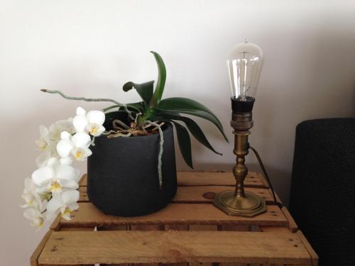 a table with a lamp and a potted plant on it at AVLiving City INSIDE NINE Basel in Basel