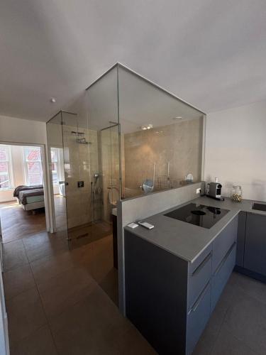 a bathroom with a sink and a glass shower at Zwols stadshuis in Zwolle