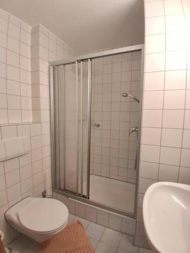 a bathroom with a shower and a toilet and a sink at Ferienwohnung Stoll Helga in Burgberg
