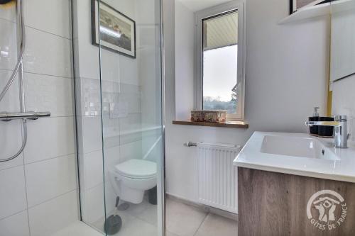 a bathroom with a toilet and a sink and a shower at Kermaria la maison d'hôtes in Plougrescant