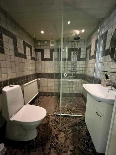 a bathroom with a toilet and a sink and a shower at Villa María - Charming 40 m2 lower level suite with private entrance in Simrishamn