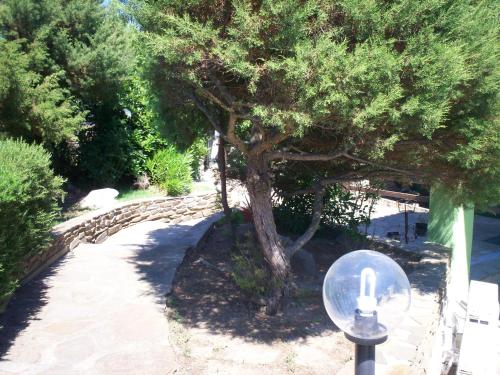 Gallery image of La Dea Madre in Stintino