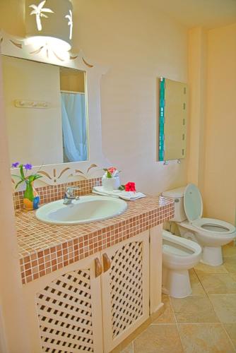 a bathroom with a sink and a toilet at Villa Chiara Beachfront Las Terrenas in El Limón