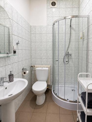 a bathroom with a toilet and a shower and a sink at Apartamenty Adabet in Kępno