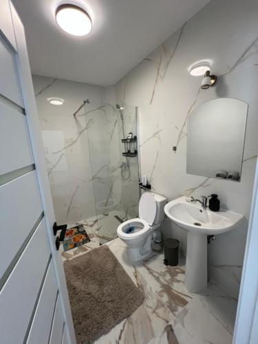 a bathroom with a toilet and a sink at Casa Racolța Central Garden in Câmpia Turzii
