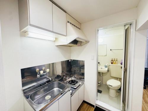a small kitchen with a sink and a toilet at SnowMapleHouse川口 in Kawaguchi