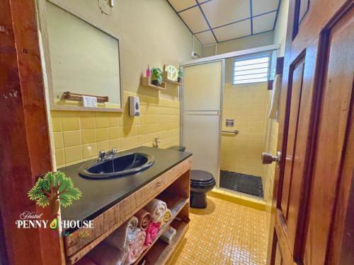 a bathroom with a sink and a toilet at Penny House Hostal in David