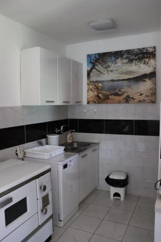 a kitchen with white cabinets and a painting on the wall at Apartman Anastasija in Guča