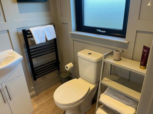 a bathroom with a toilet and a sink and a window at Glassdrumman Stables in Ballynahinch