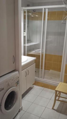a bathroom with a washing machine and a shower at Les Fermes du Lac - Appt 10A in Gérardmer