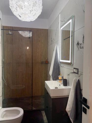 a bathroom with a shower and a toilet and a sink at Lili room in Focşani