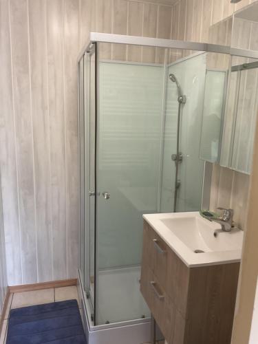 a bathroom with a shower and a sink at Clairbois in Gérardmer