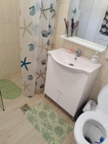 a bathroom with a sink and a toilet and a shower at Casa Hirta in Ocna Şugatag